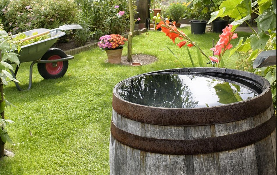 Installer une réserve d'eau dans son jardin