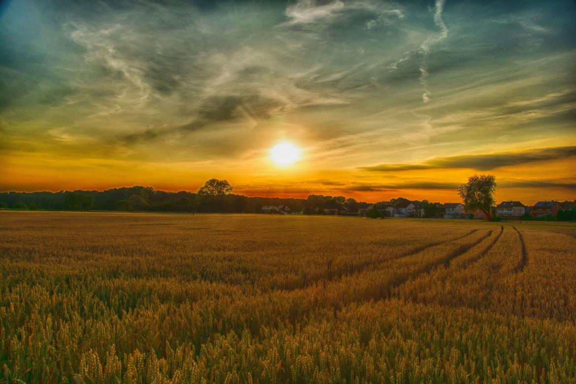 Patrimoine & Environnement