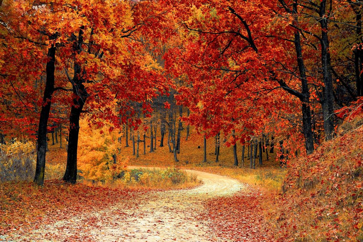 Les chemins nature