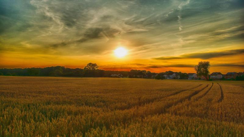 Patrimoine & Environnement