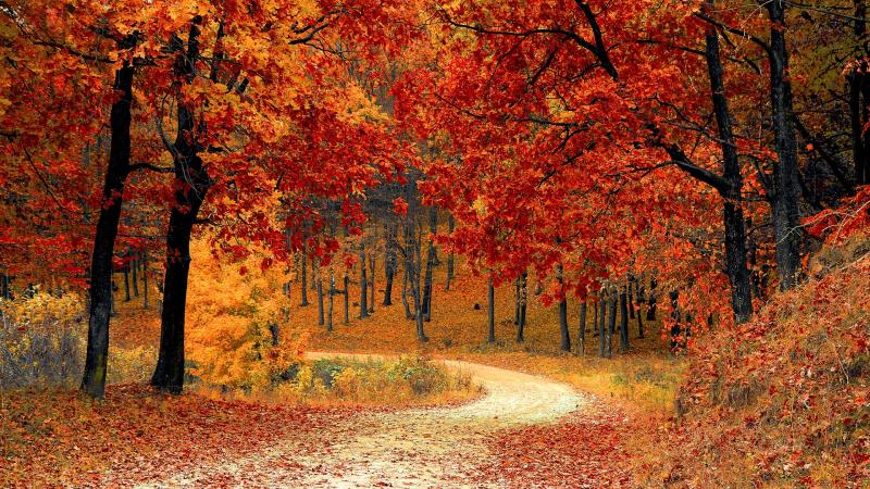 Les chemins nature